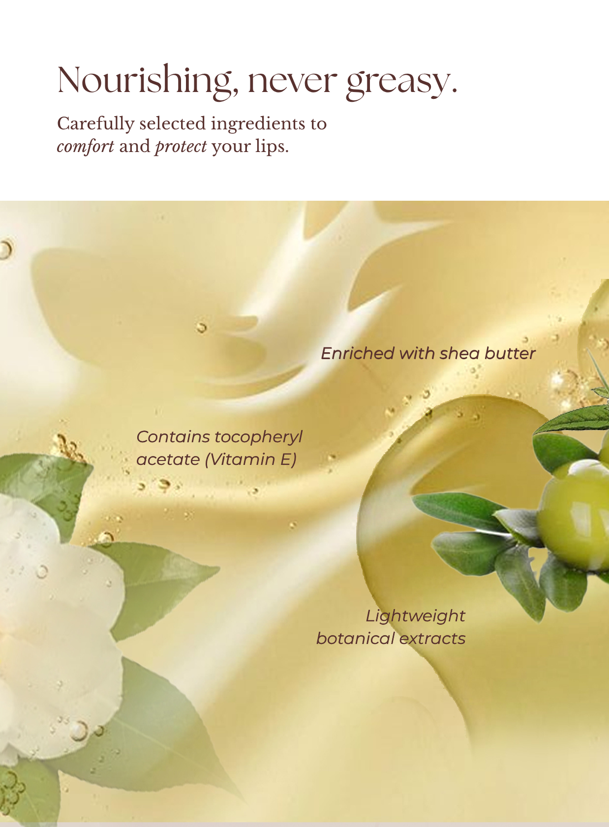 Lip Balm Almond Latte - H03